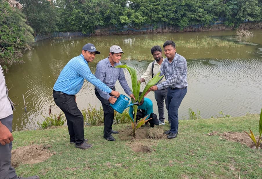 মোংলায় ৩ কিলোমিটার গ্রামীণ রাস্তায় বৃক্ষরোপণ কর্মসূচির উদ্বোধন