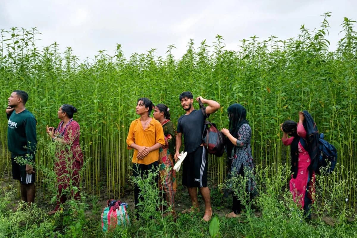 নারী ও ট্রান্সজেন্ডারসহ ৮ জনকে পুশইন করতে চেয়েছিল বিএসএফ, রুখে দিল বিজিবি
