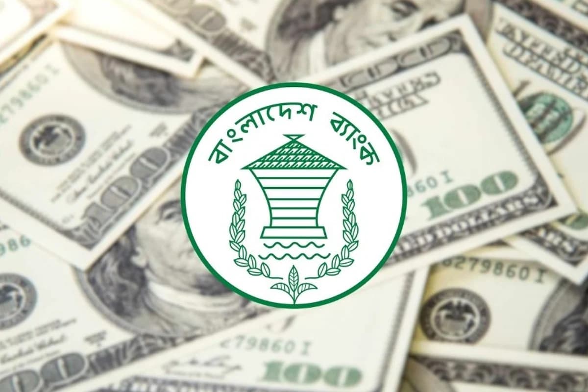 ডলারের দাম ১২৩ টাকা ৮২ পয়সায় বেঁধে দিল বাংলাদেশ ব্যাংক, বাড়ছে বাজার চাপ