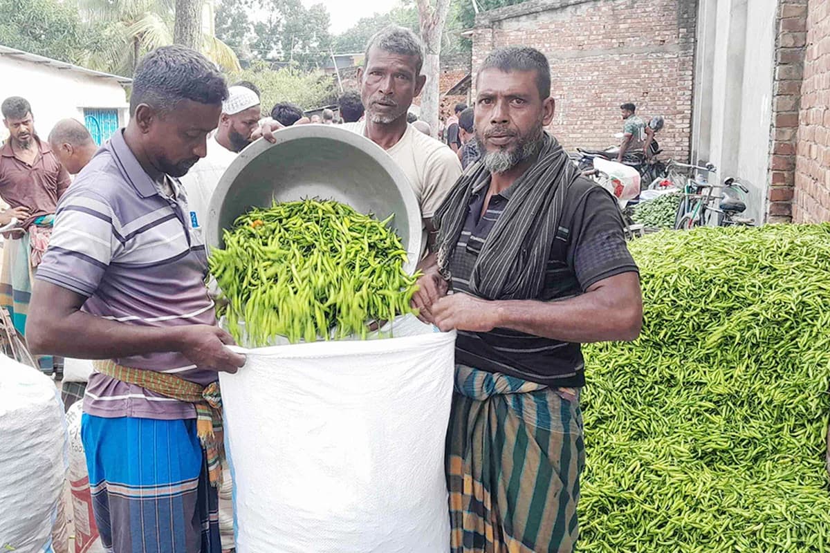 দুই সপ্তাহে দাম বাড়ল ১৫০ টাকা! 