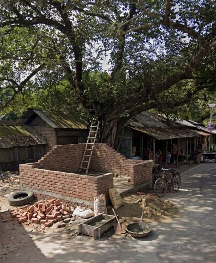 পুরাতন গড়েয়া বাজারে সরকারি জায়গায় দোকান নির্মাণের অভিযোগ, ফের কাজ শুরু