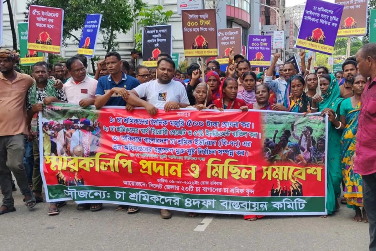 মজুরি ৫০০ টাকা ও ভূমির দাবিতে সিলেটে চা শ্রমিকদের বিক্ষোভ, ১৫ দিনের সময় বেঁধে দিলেন