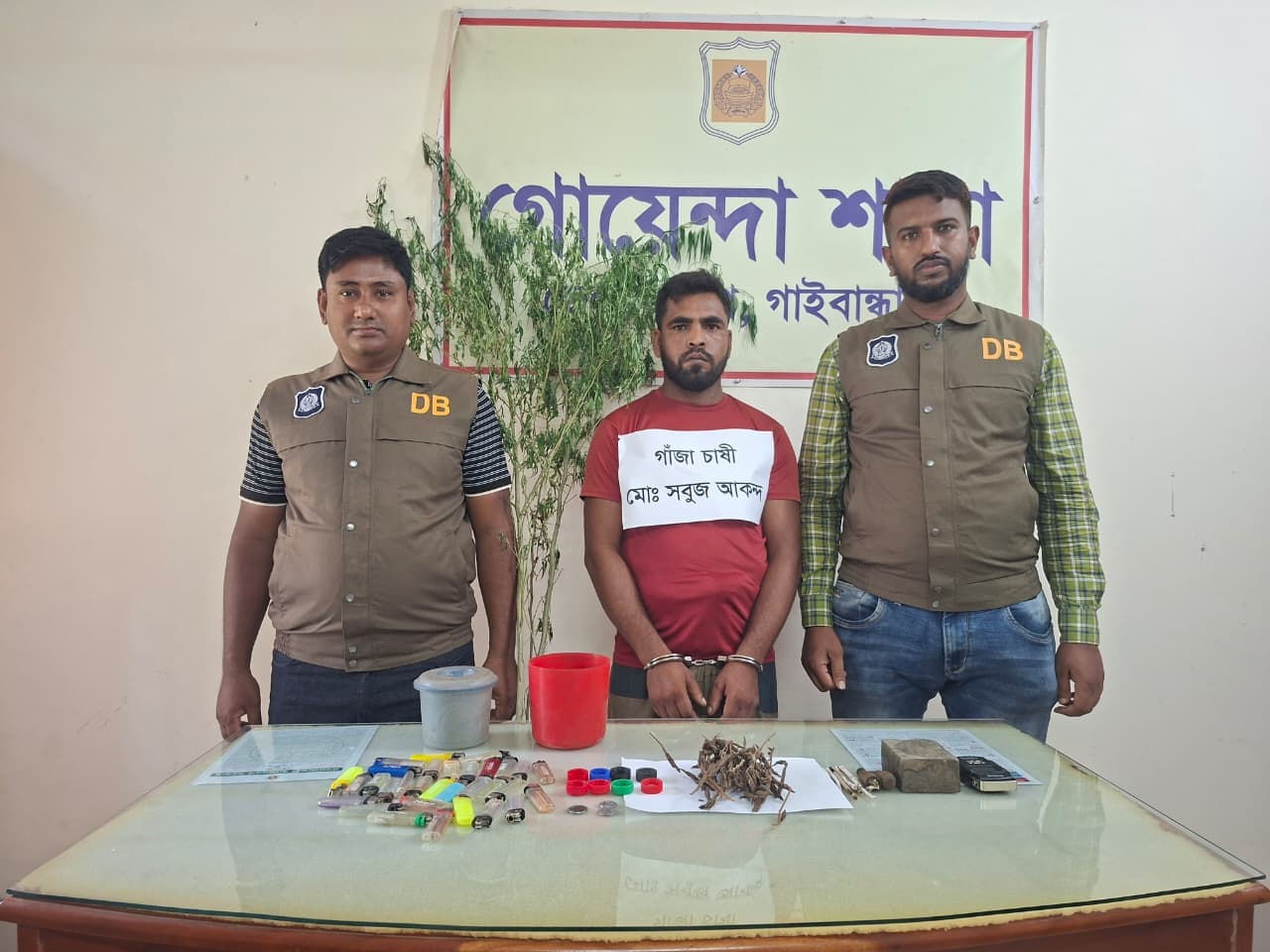 গাইবান্ধায় ৪০ গ্রাম গাঁজাসহ যুবক গ্রেপ্তার, গাঁজার গাছ ও সেবনের সরঞ্জাম উদ্ধার