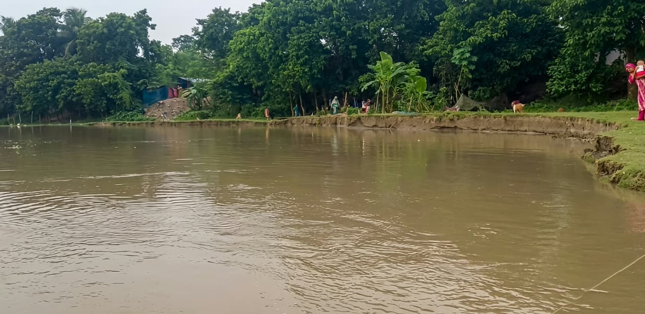 পদ্মার তীব্র ভাঙনে হুমকির মুখে কুঠিপাড়া, টেকসই বাঁধের দাবিতে ক্ষোভে ফুঁসছেন স্থানীয়রা