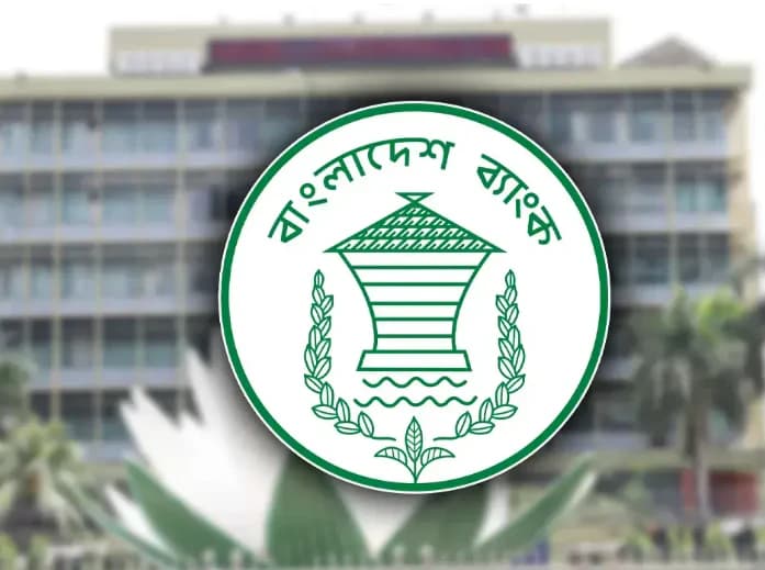 বড় ঋণগ্রহীতাদের জন্য ১৫ বছর সময় ও ২ বছর গ্রেস পিরিয়ড ঘোষণা করল বাংলাদেশ ব্যাংক