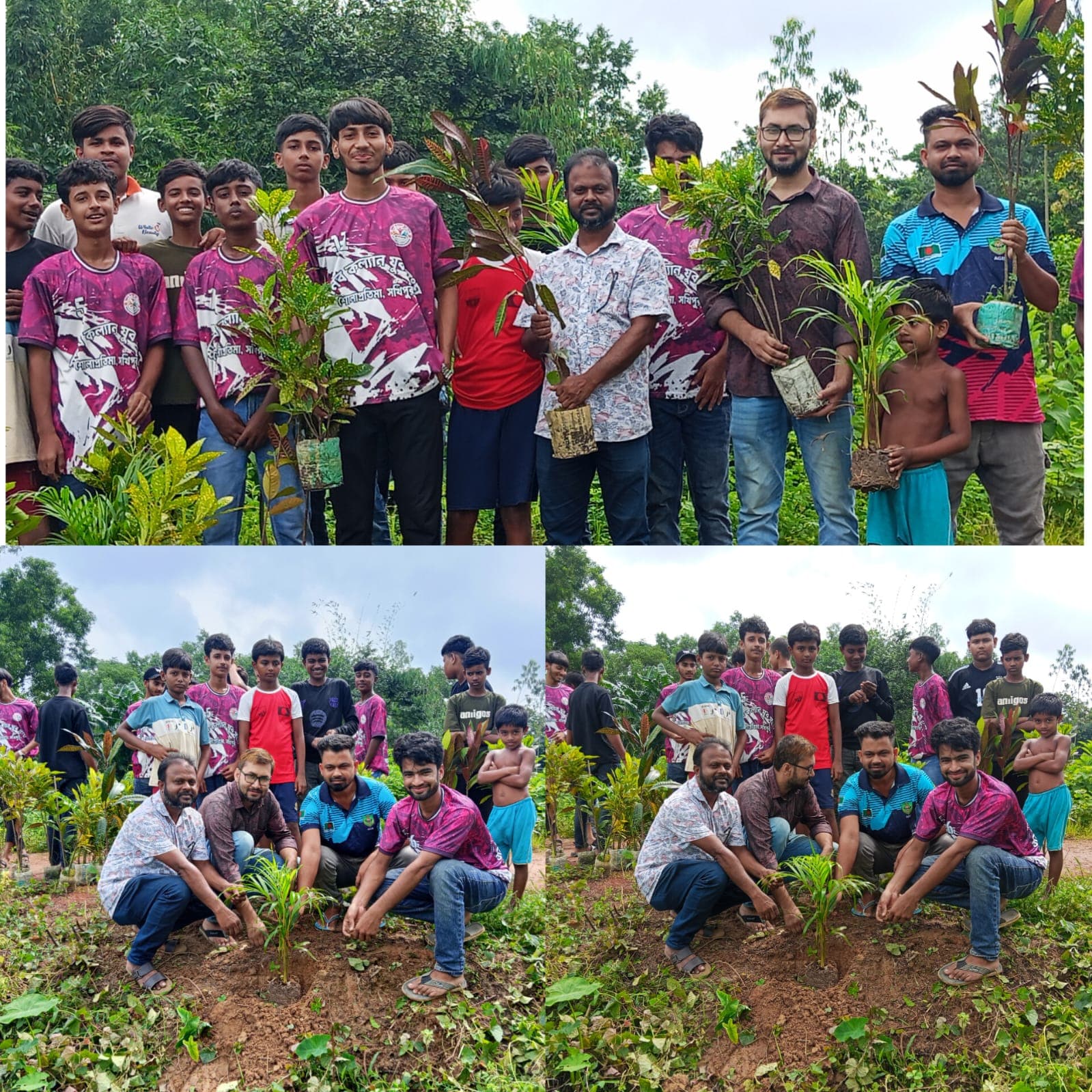 সখীপুরে শোলাপ্রতিমায় মানব কল্যাণ যুব সংঘের বৃক্ষরোপণ কর্মসূচি