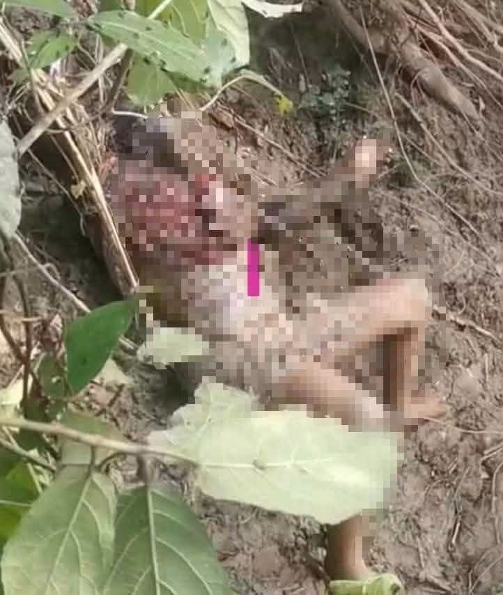 নিখোঁজের ৪৮ ঘণ্টা পর ঝোপ থেকে ৭ বছরের ছাত্রীর অর্ধগলিত মরদেহ উদ্ধার