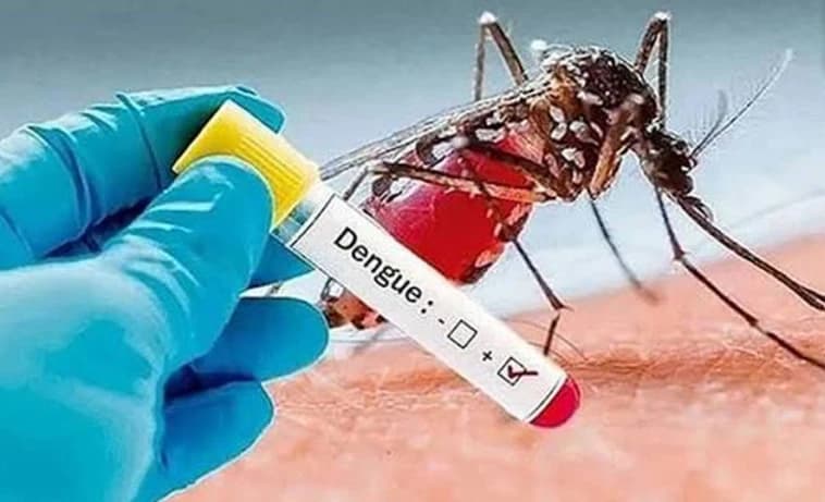 ডেঙ্গুর ছোবলে একদিনে ঝরল ৫ প্রাণ: দিশেহারা স্বজন, বাড়ছে মৃত্যু আতঙ্ক