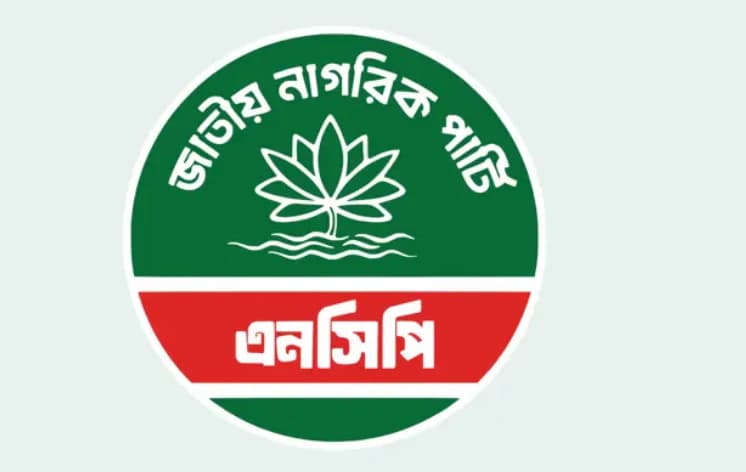 ১৫১ সদস্যের নতুন রূপে আসছে এনসিপি, বড় দায়িত্বে সারজিস-হাসনাতরা
