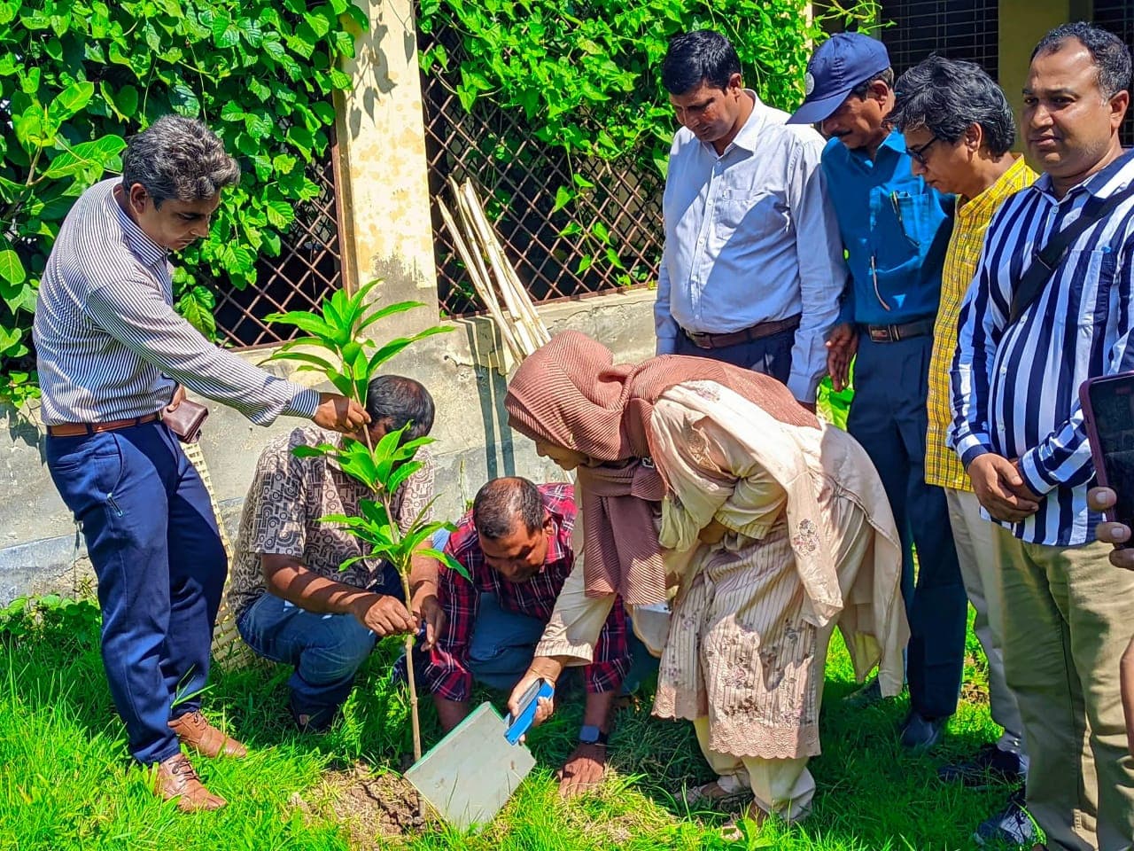 ধামইরহাটে চকময়রাম সরকারি মডেল উচ্চ বিদ্যালয়ের শিক্ষার্থীদের মাঝে বৃক্ষের চারা বিতরন