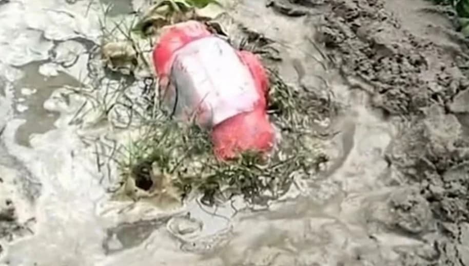 চুয়াডাঙ্গায় ‘জয় বাংলা’ লেখা বোমাসদৃশ বস্তু উদ্ধার