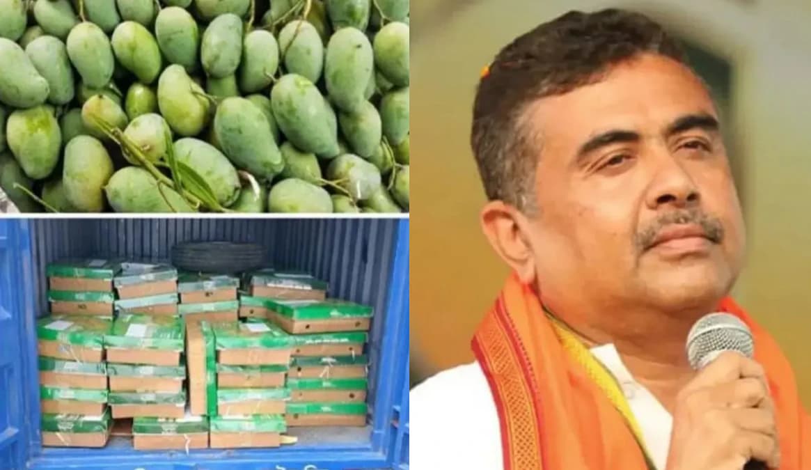 বাংলাদেশ সরকারের বিশেষ উপহার: শুভেন্দু ও মানিক সাহার জন্য ১১০০ কেজি আম