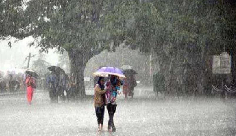 বৃষ্টির দাপট কি কমবে? আগামী পাঁচ দিনের পূর্বাভাসে কী জানাল আবহাওয়া অধিদপ্তর?
