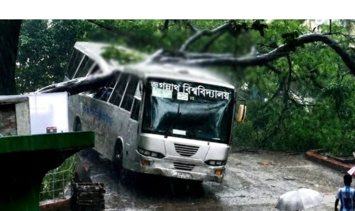 জবি ক্যাম্পাসে শতবর্ষী কৃষ্ণচূড়া উপড়ে পড়ে মারাত্মকভাবে ক্ষতিগ্রস্ত বিশ্ববিদ্যালয়ের বাস