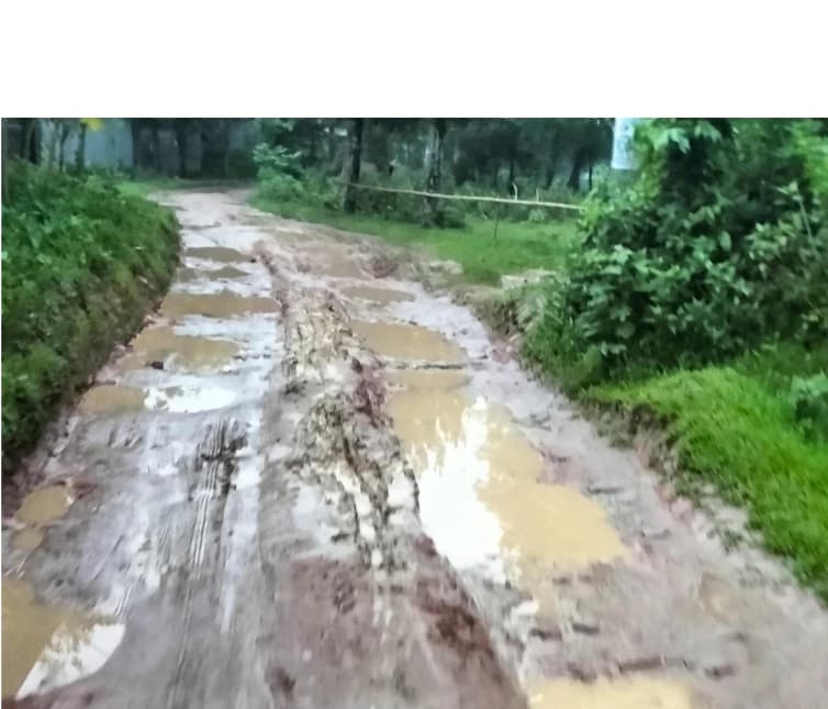 "মেদুয়ারীতে বেহাল সড়ক, দুর্ভোগে হাজারো মানুষ"