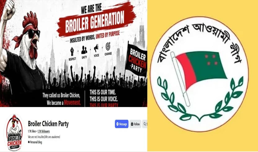 কেন তৈরি হলো 'ব্রয়লার চিকেন পার্টি'? পতিত ফ্যাসিস্টদের জন্য জেন-জি শিক্ষার্থীদের কড়া বার্তা