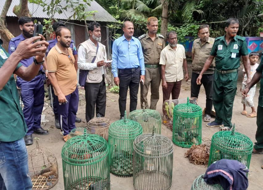 হবিগঞ্জে যৌথ অভিযানে উদ্ধার ২৪ বন্যপাখি, প্রাকৃতিক আবাসে অবমুক্ত