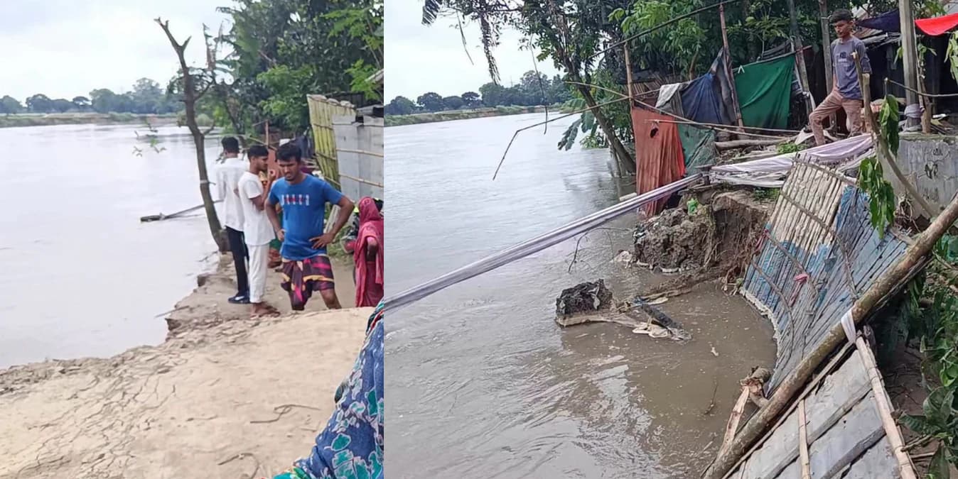 টানা বৃষ্টিতে ঠাকুরগাঁওয়ে নদীভাঙনে সর্বস্ব হারানোর শঙ্কায় দিন কাটছে নদীপাড়ের বাসিন্দাদের
