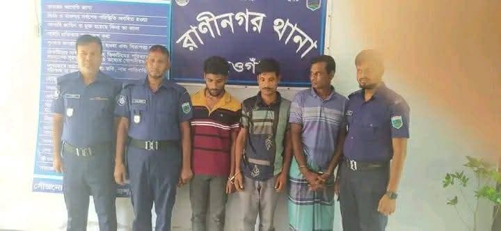 র্যাব ও পুলিশের যৌথ অভিযানে সিংড়ায় ধরা পড়ল আন্তজেলা গরু চোর চক্র, উদ্ধার ৫ গরু