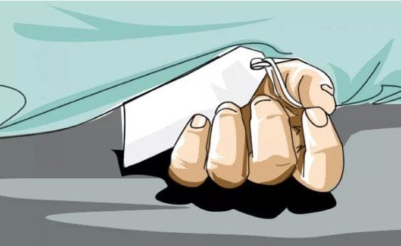 নেত্রকোনায় পেয়ারা পাড়তে গিয়ে বিদ্যুৎস্পৃষ্ট হয়ে প্রাণ হারালেন ২৭ বছর বয়সী যুবক