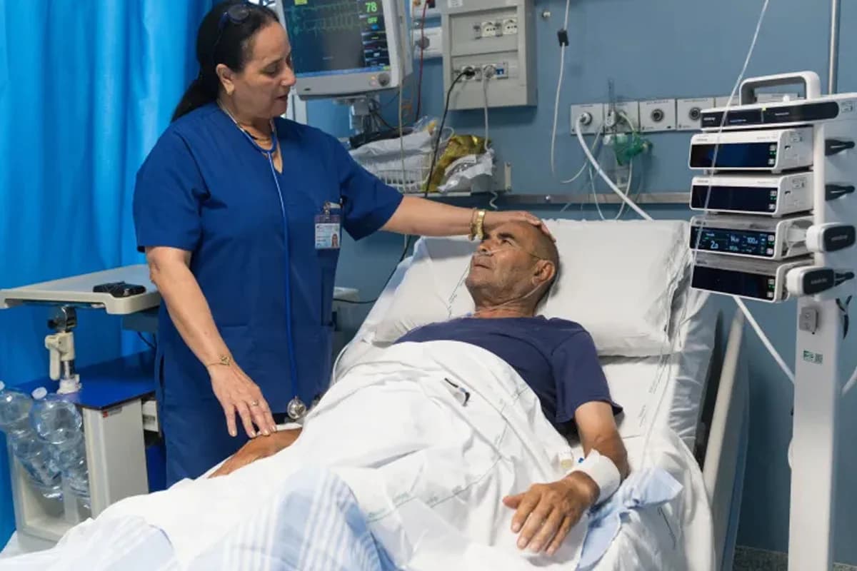 ক্যান্সার প্রতিরোধ ও দীর্ঘায়ুর চাবিকাঠি হতে পারে থাইমাস: চমকপ্রদ তথ্য হার্ভার্ডের গবেষণায়