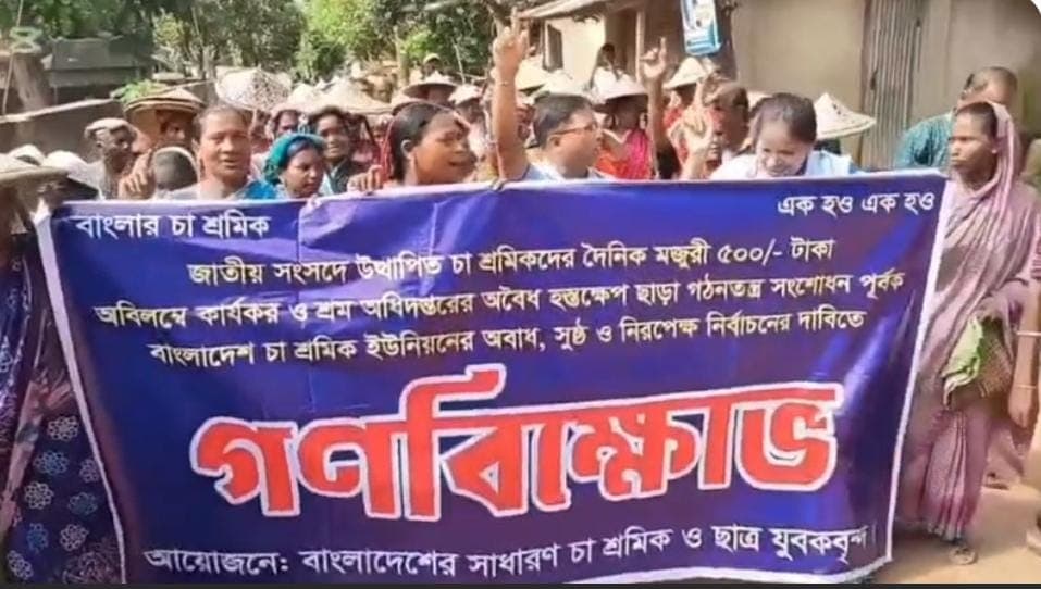 হবিগঞ্জে তেলিয়াপাড়া চা-বাগানে বিক্ষোভ, মজুরি ৫০০ টাকা করার দাবি