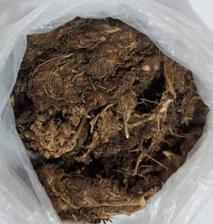 কাউখালীতে পুলিশের বিশেষ অভিযান: ইয়াবা ও গাঁজাসহ চিহ্নিত মাদক ব্যবসায়ী গ্রেপ্তার