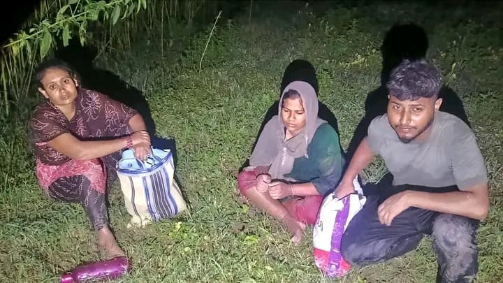 জীবননগর সীমান্তে ৩ জনকে পুশইনের চেষ্টা করেছে ভারতীয় বিএসএফ।