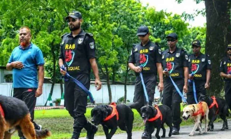নিলামে বিক্রি র্যাবের ৮টি প্রশিক্ষিত কুকুর, সর্বোচ্চ দাম উঠেছে ২৬ হাজার টাকা
