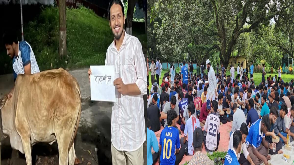 রাবিতে ‘বাকশাল’ নামে গরু জবাই, ‘জুলাইয়ের জিয়াফত’ আয়োজন আম্মারের