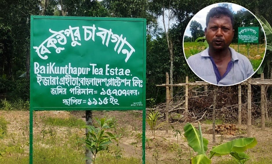 চা বাগান কর্তৃপক্ষের বিরুদ্ধে কৃষকের জমি দখলের অভিযোগ