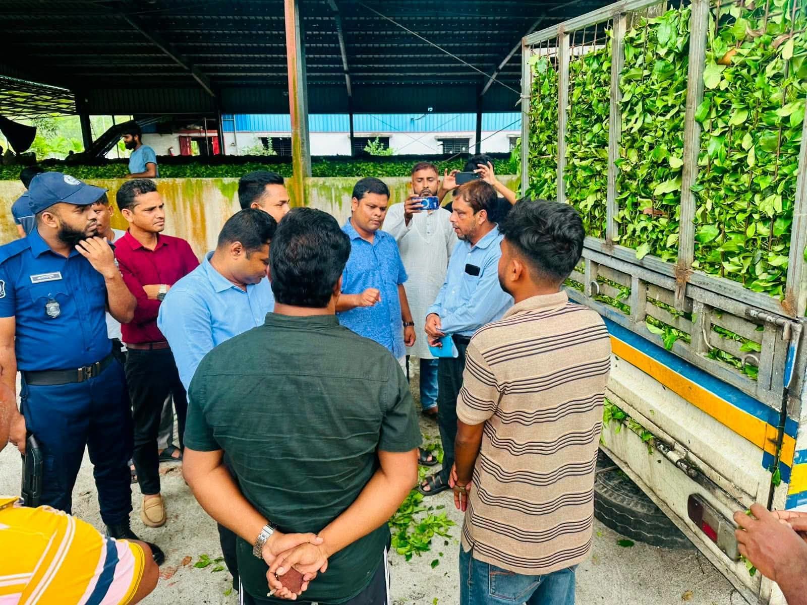 পঞ্চগড়ে চা পাতায় পানি মিশিয়ে ওজন বাড়ানোর অপরাধে জরিমানা