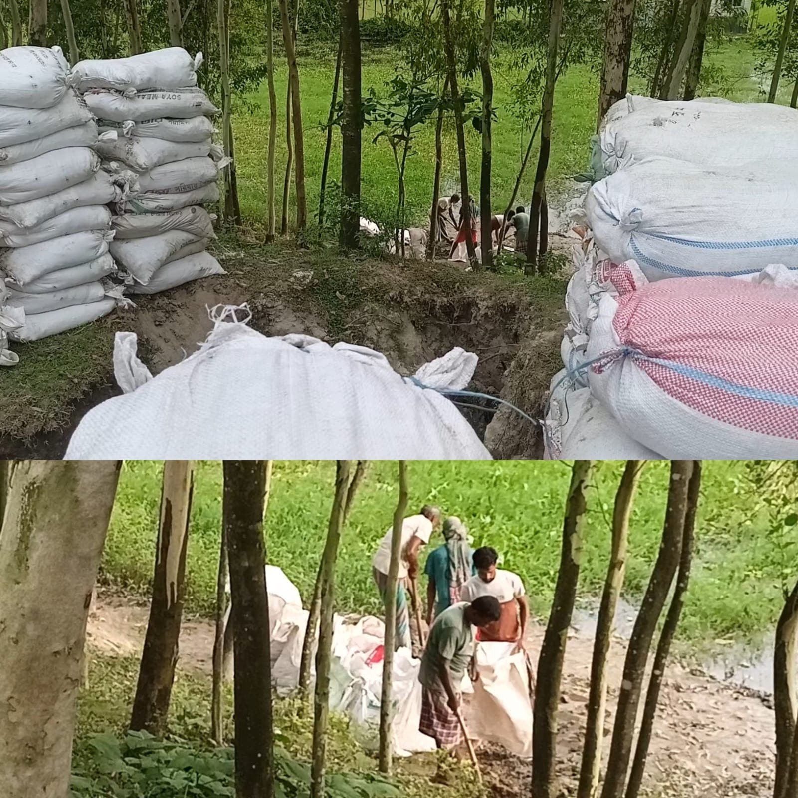 বাঁধের গোড়া খুঁড়েই মেরামতের অভিযোগ , গাইবান্ধা শহরের নিরাপত্তা নিয়ে চরম উদ্বেগে স্থানীয়রা
