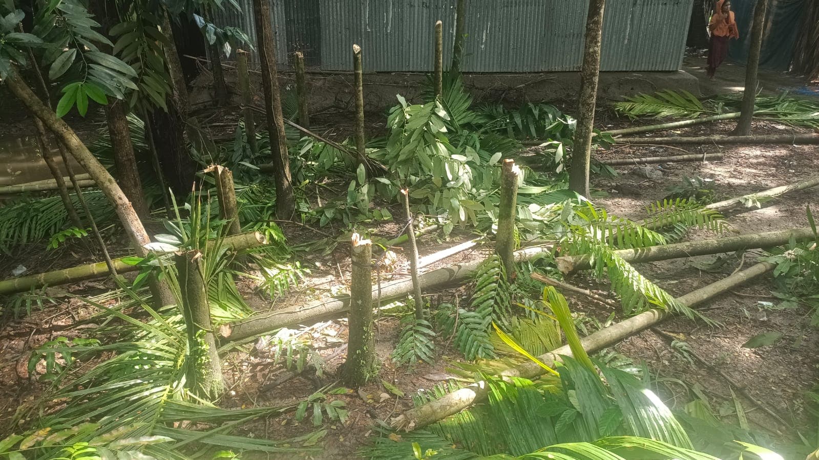 কমলনগরে ১০ লাখ টাকা চাঁদা দাবির অভিযোগ, দিনমজুরের বসতবাড়ি দখলের চেষ্টা