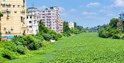 ঐতিহ্যবাহী ভৈরব আজ মৃতপ্রায়, দুই পাড়ে বাড়ছে চর্মরোগী